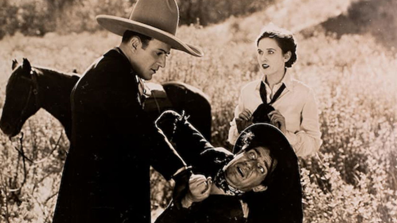 Backdrop for Plunging Hoofs