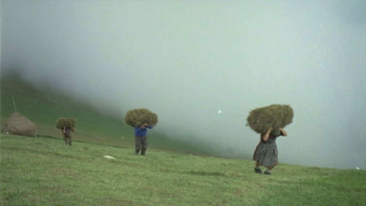 Backdrop for La montagna del sole