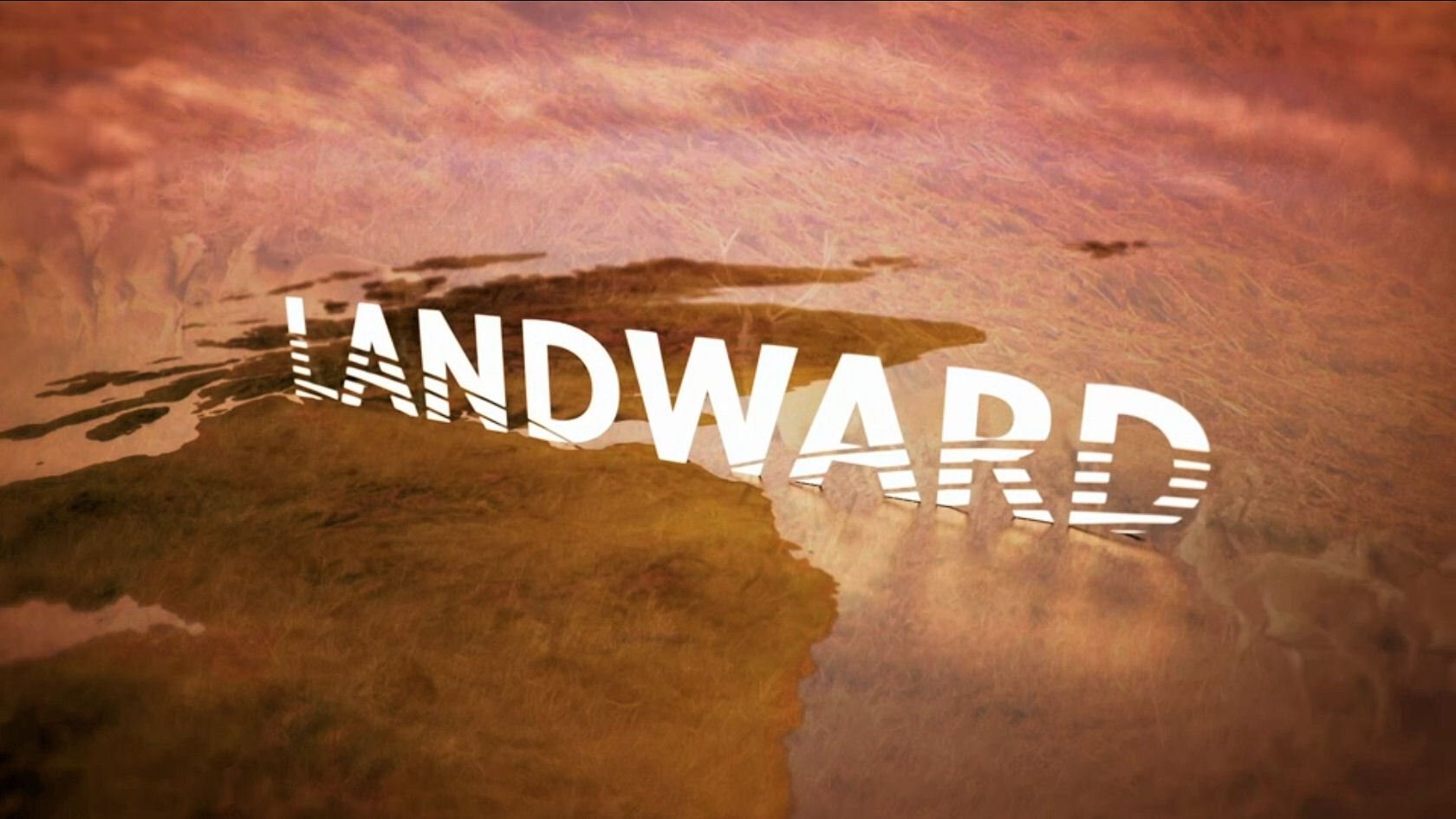 Backdrop for Landward