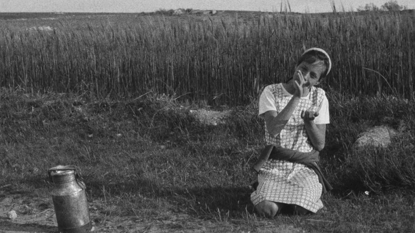 Backdrop for Berta's Motives