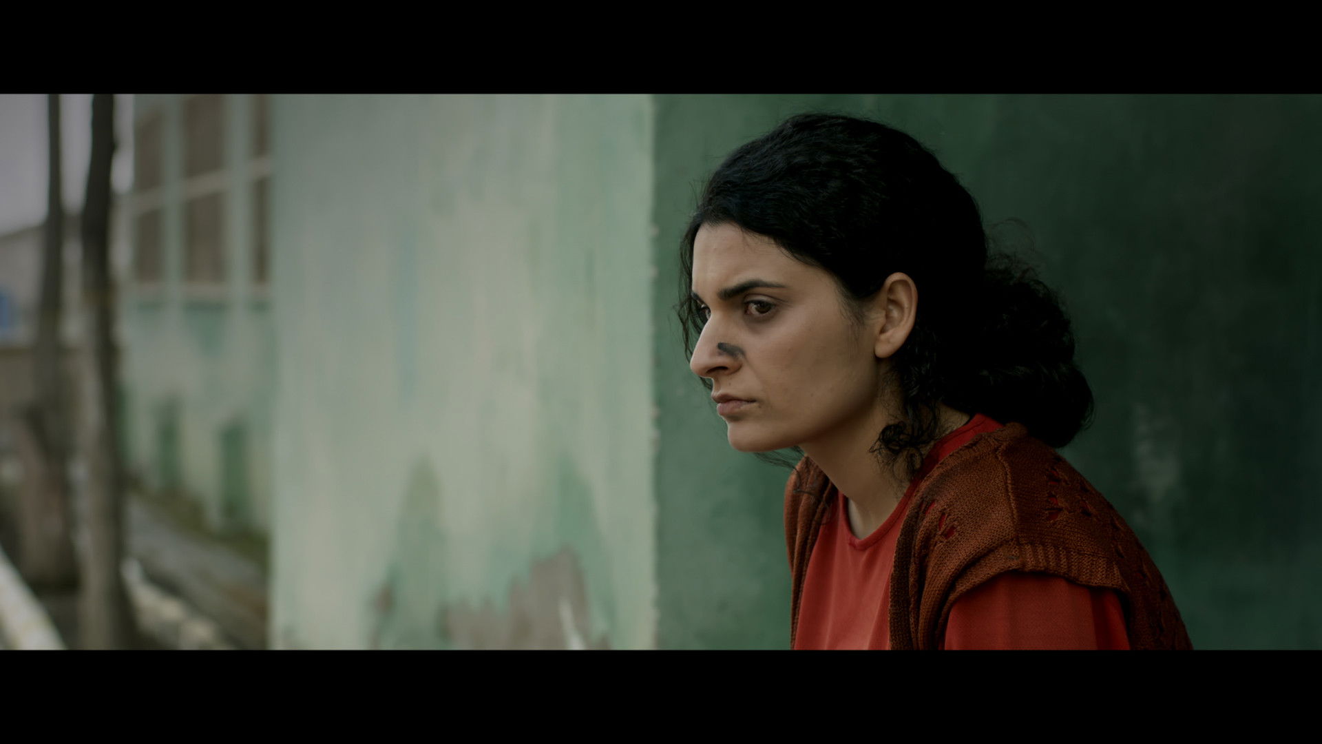 Backdrop for Ugly Ducking