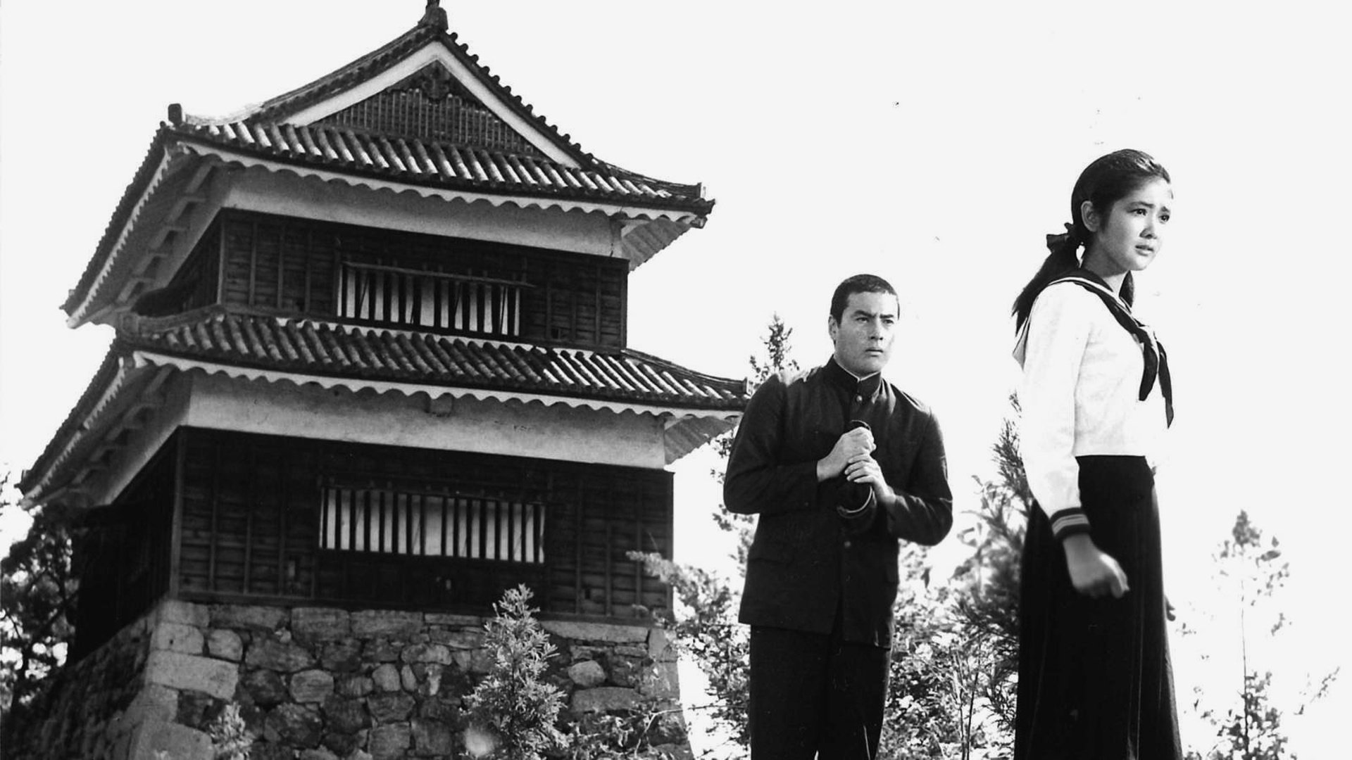 Backdrop for Fighting Elegy