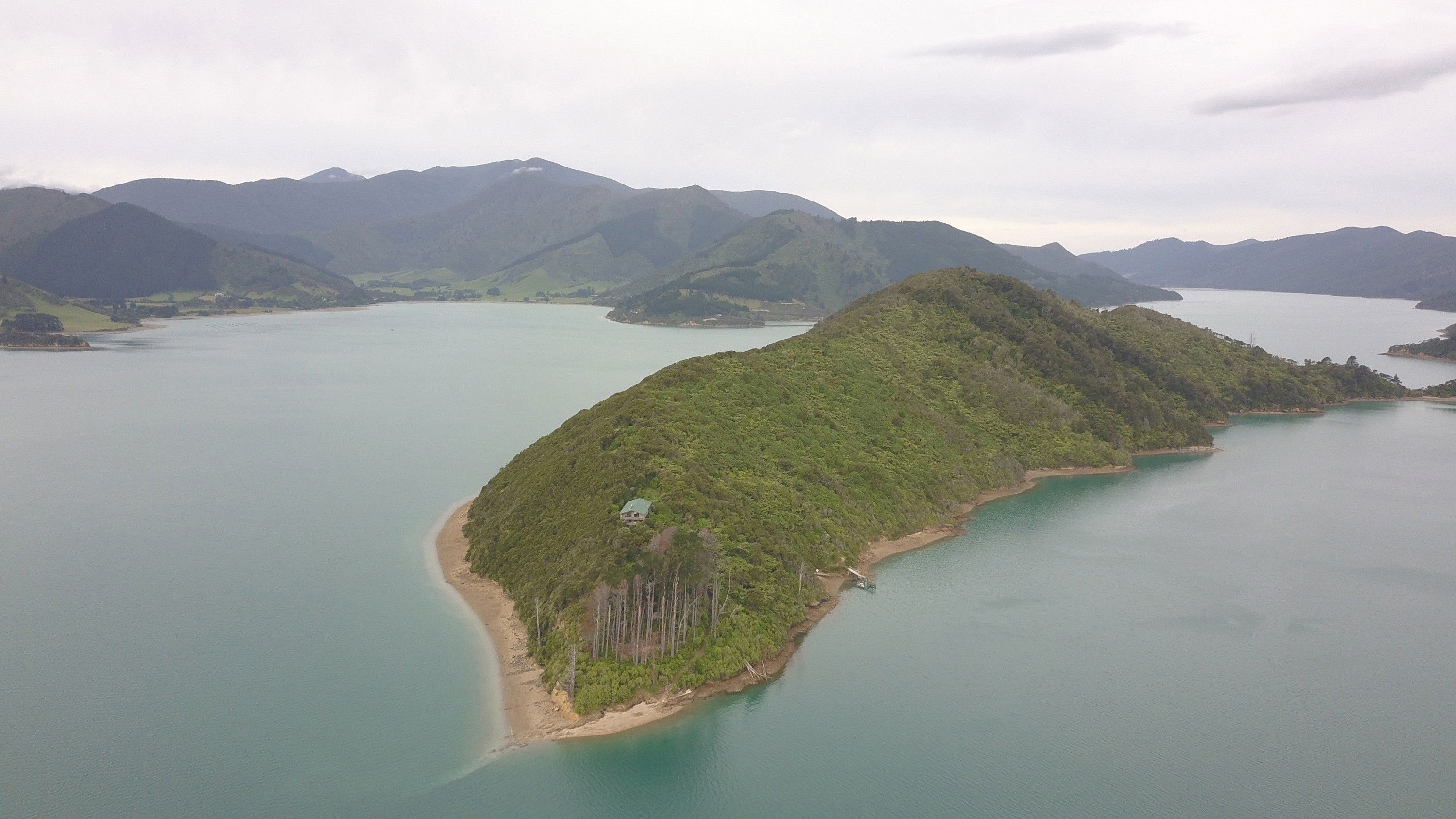 Backdrop for Kiwiland