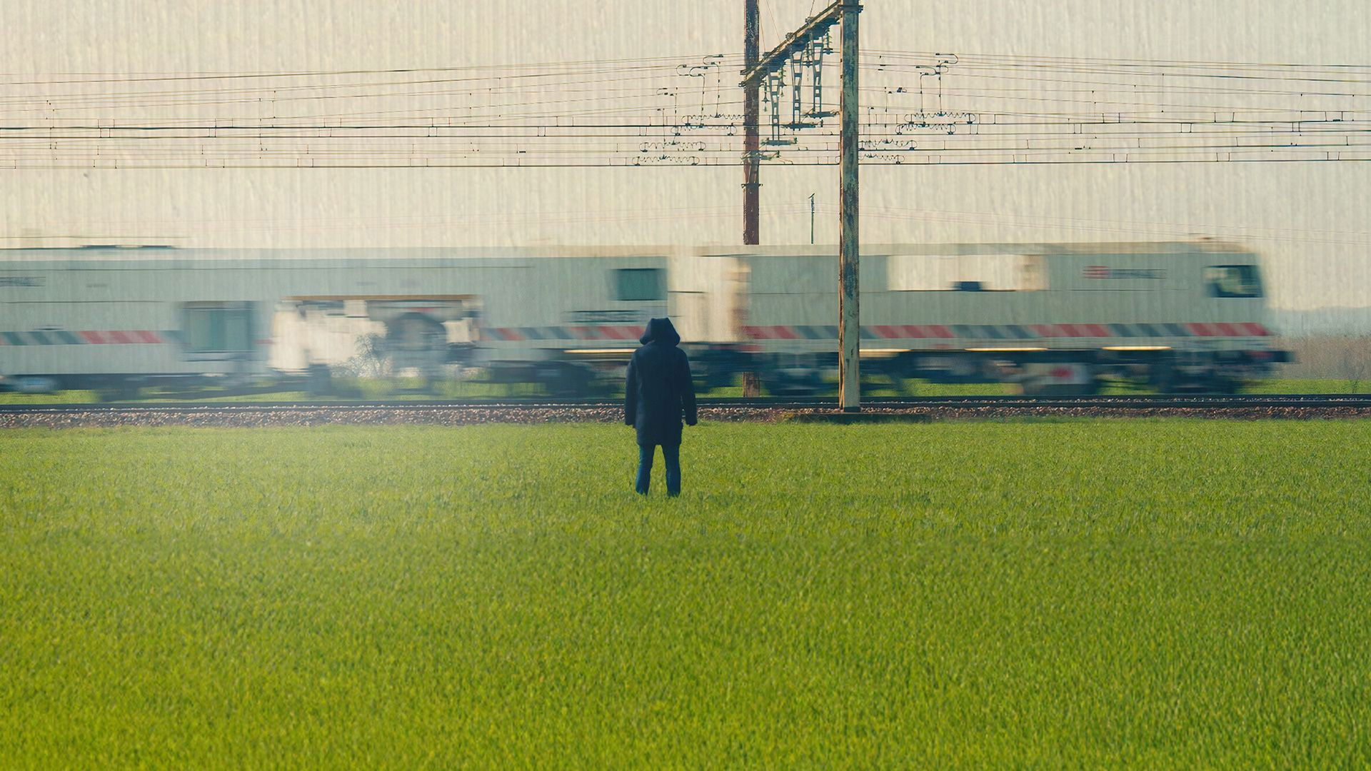 Backdrop for Suzy vs Gros Loup - Menace sur les rails