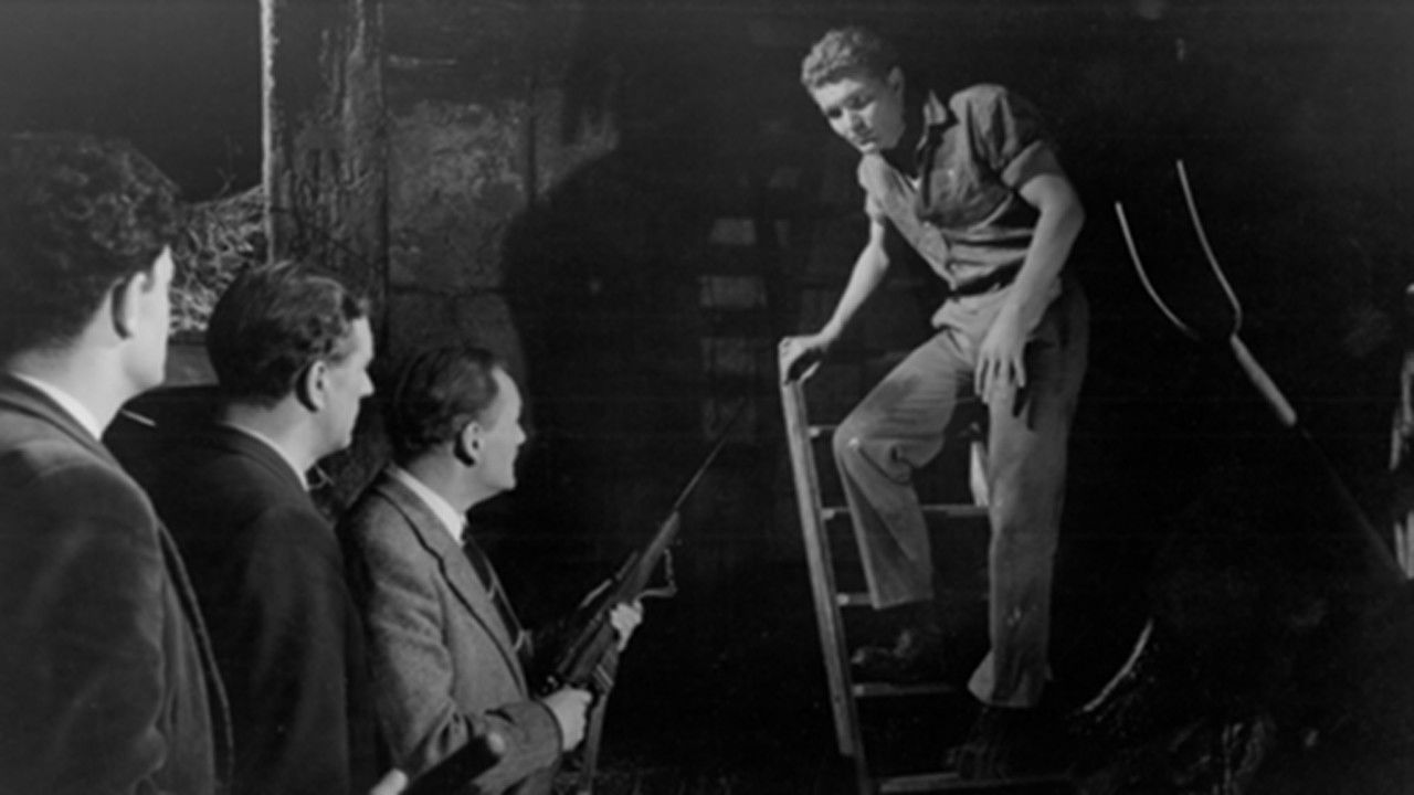 Backdrop for Life in Danger