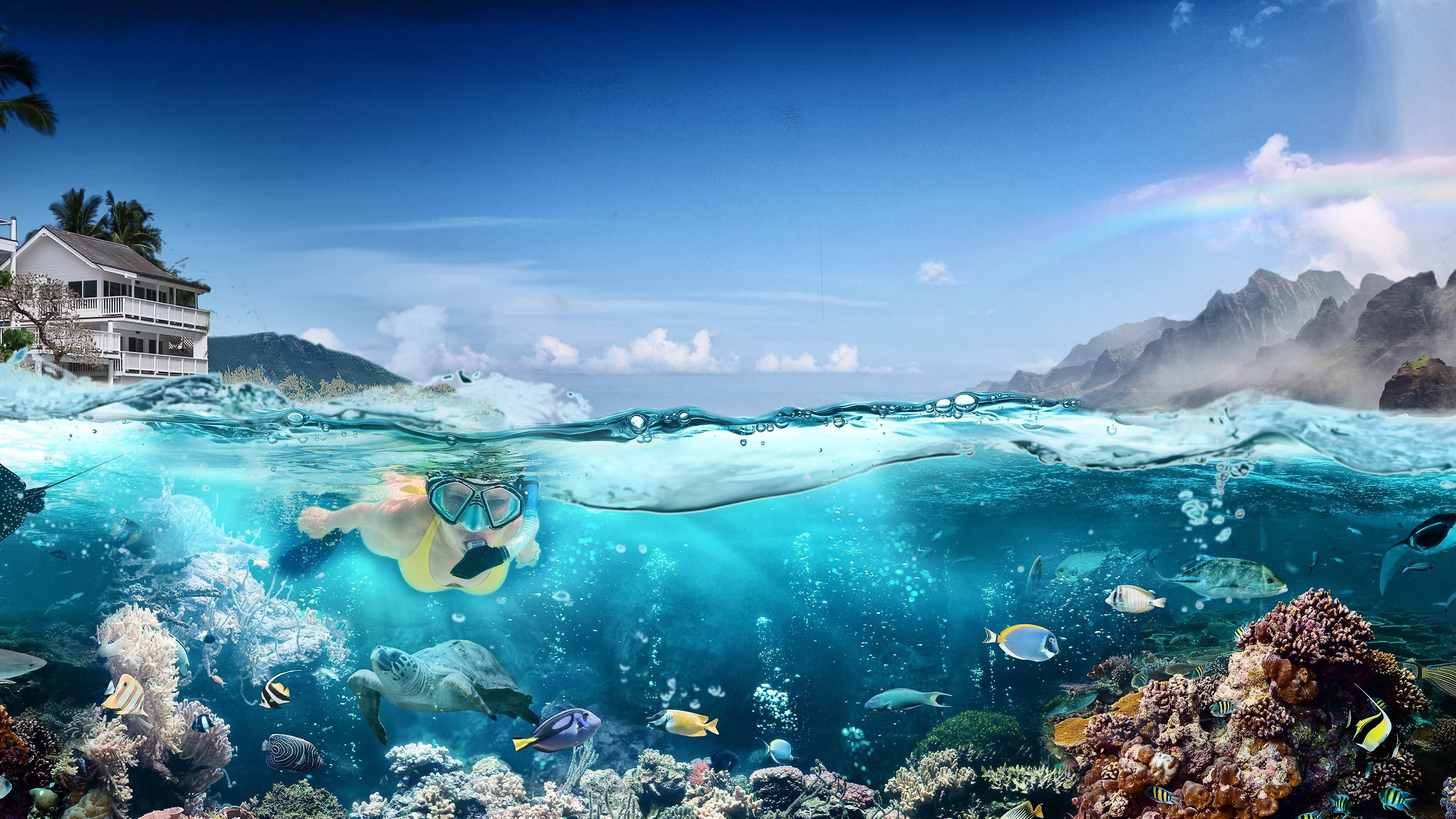 Backdrop for Hawaii Life