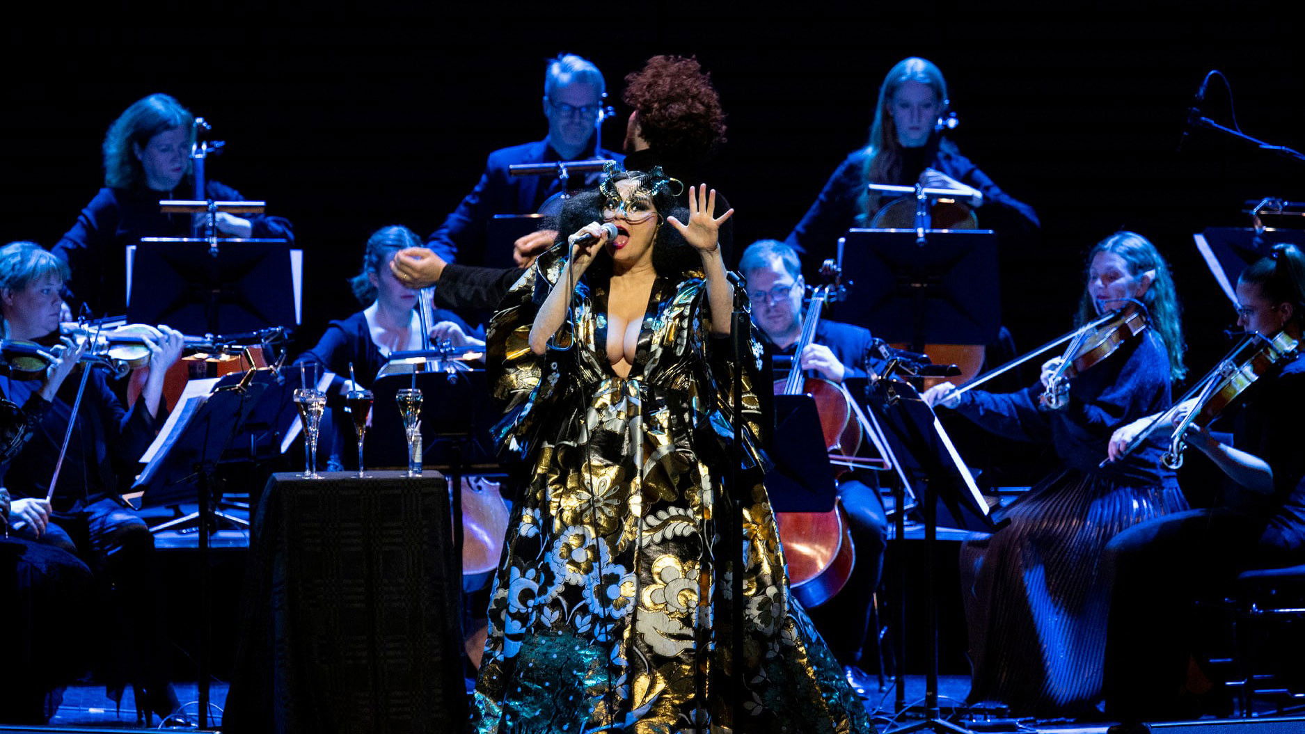 Backdrop for Björk Orkestral IV