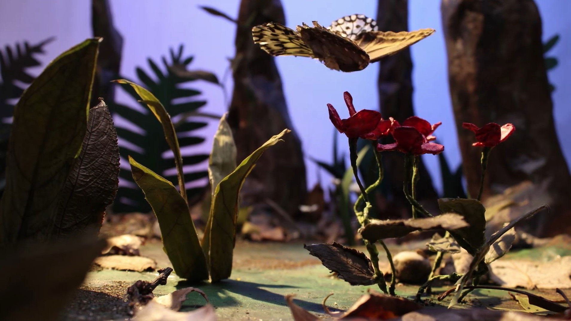 Backdrop for fig. VII