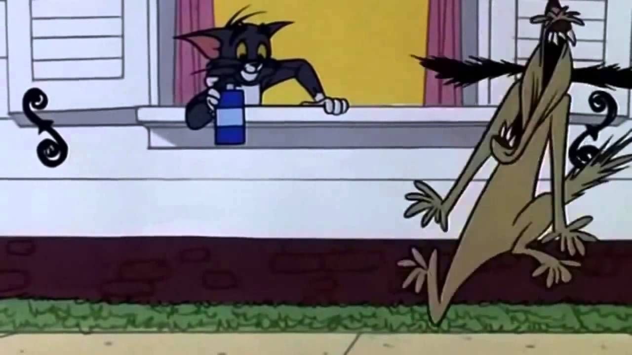 Backdrop for Purr-Chance to Dream