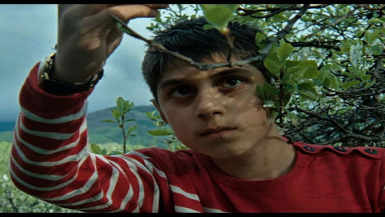 Backdrop for Matei Child Miner