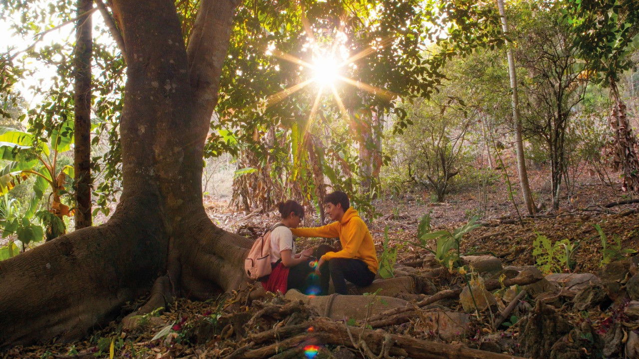 Backdrop for Beyond My Head