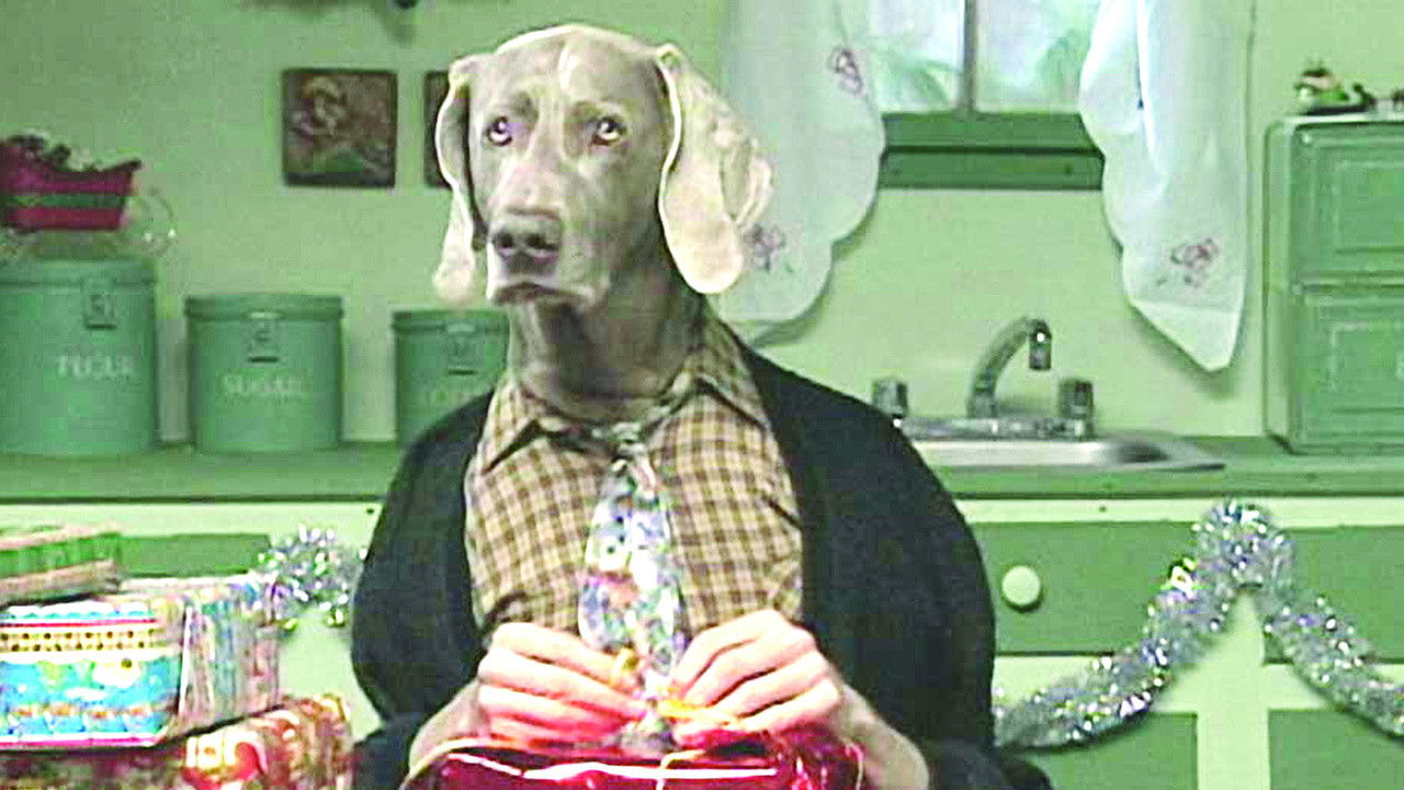 Backdrop for Fay's 12 Days of Christmas