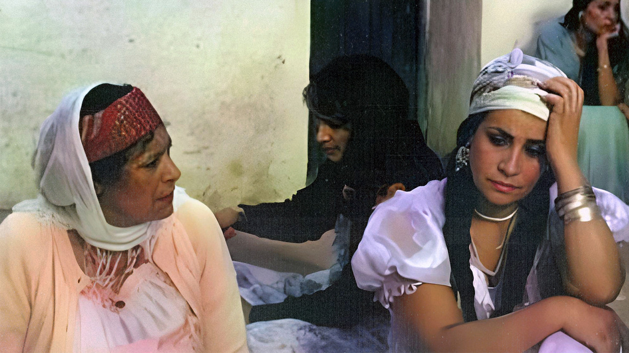 Backdrop for Douar De Femmes