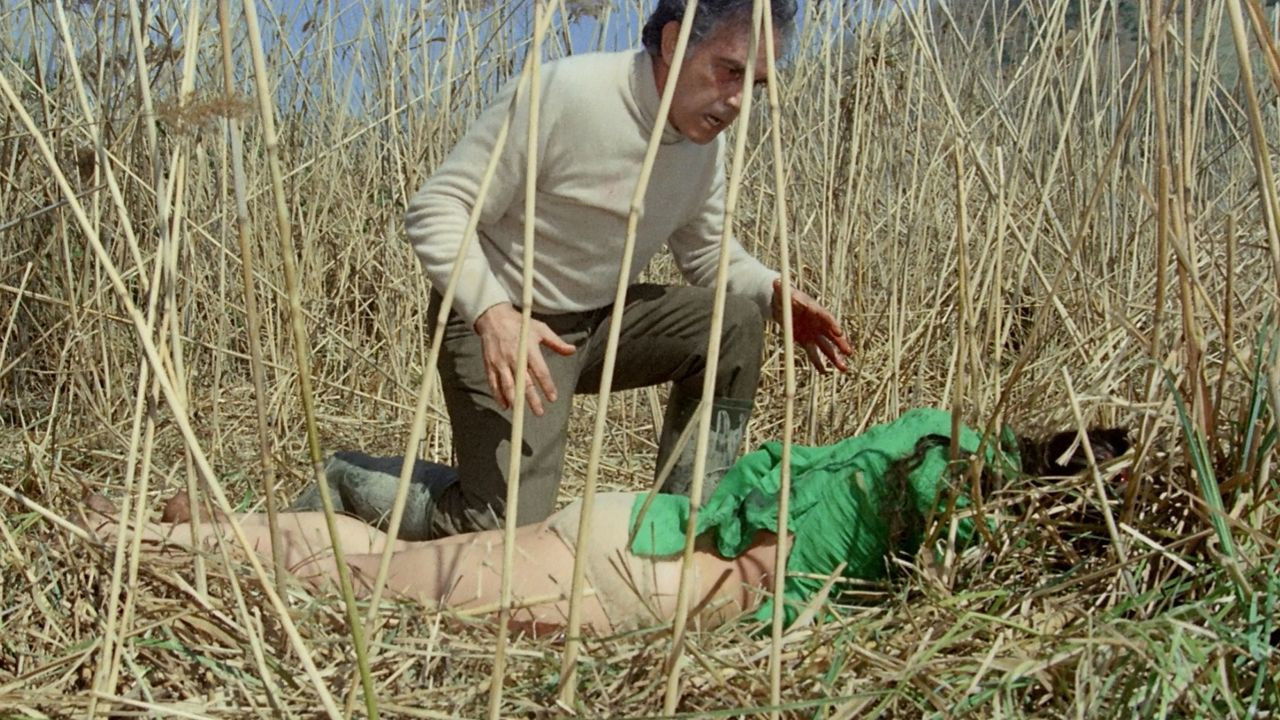 Backdrop for No, the Case Is Happily Resolved