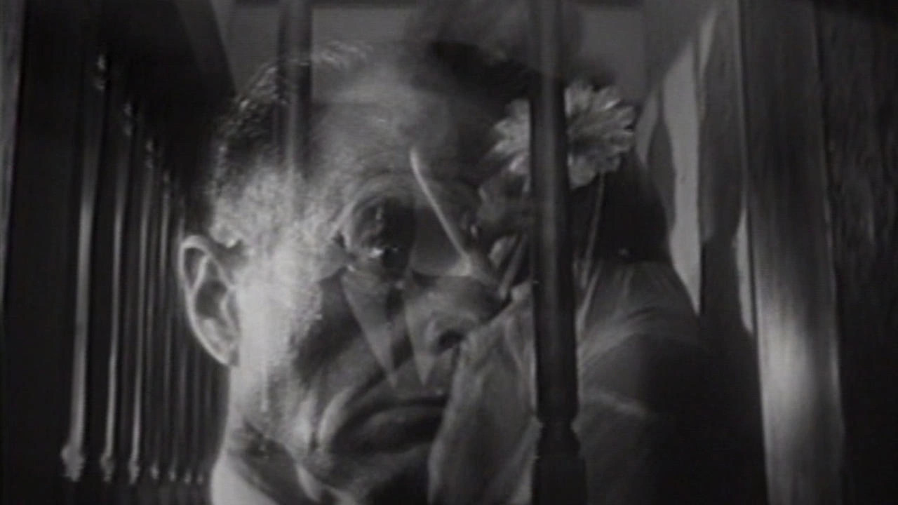 Backdrop for The Glass Cage