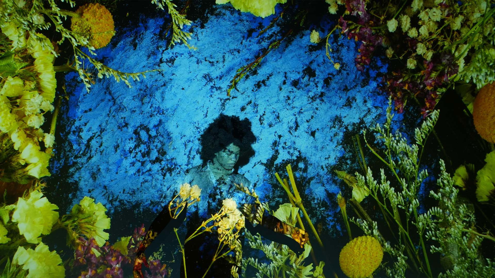 Backdrop for Becoming Air