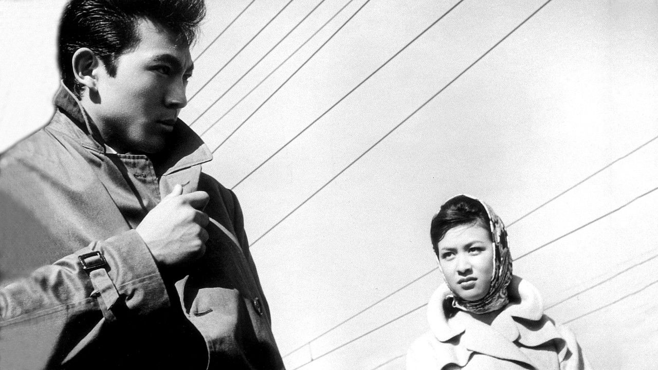 Backdrop for Black Sea of Trees