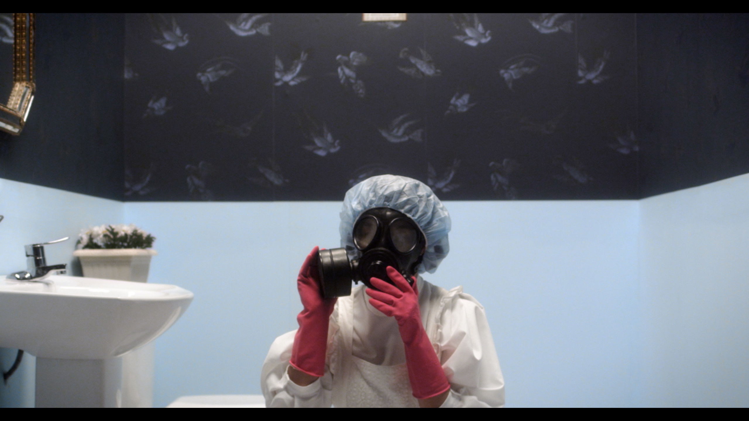 Backdrop for The Housewife