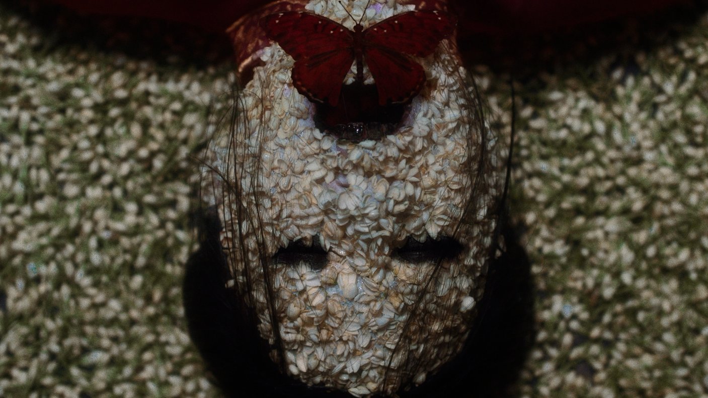 Backdrop for The Butterfly House