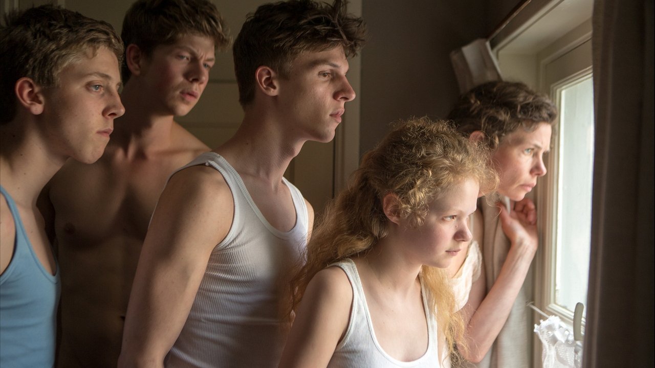 Backdrop for Confetti Harvest