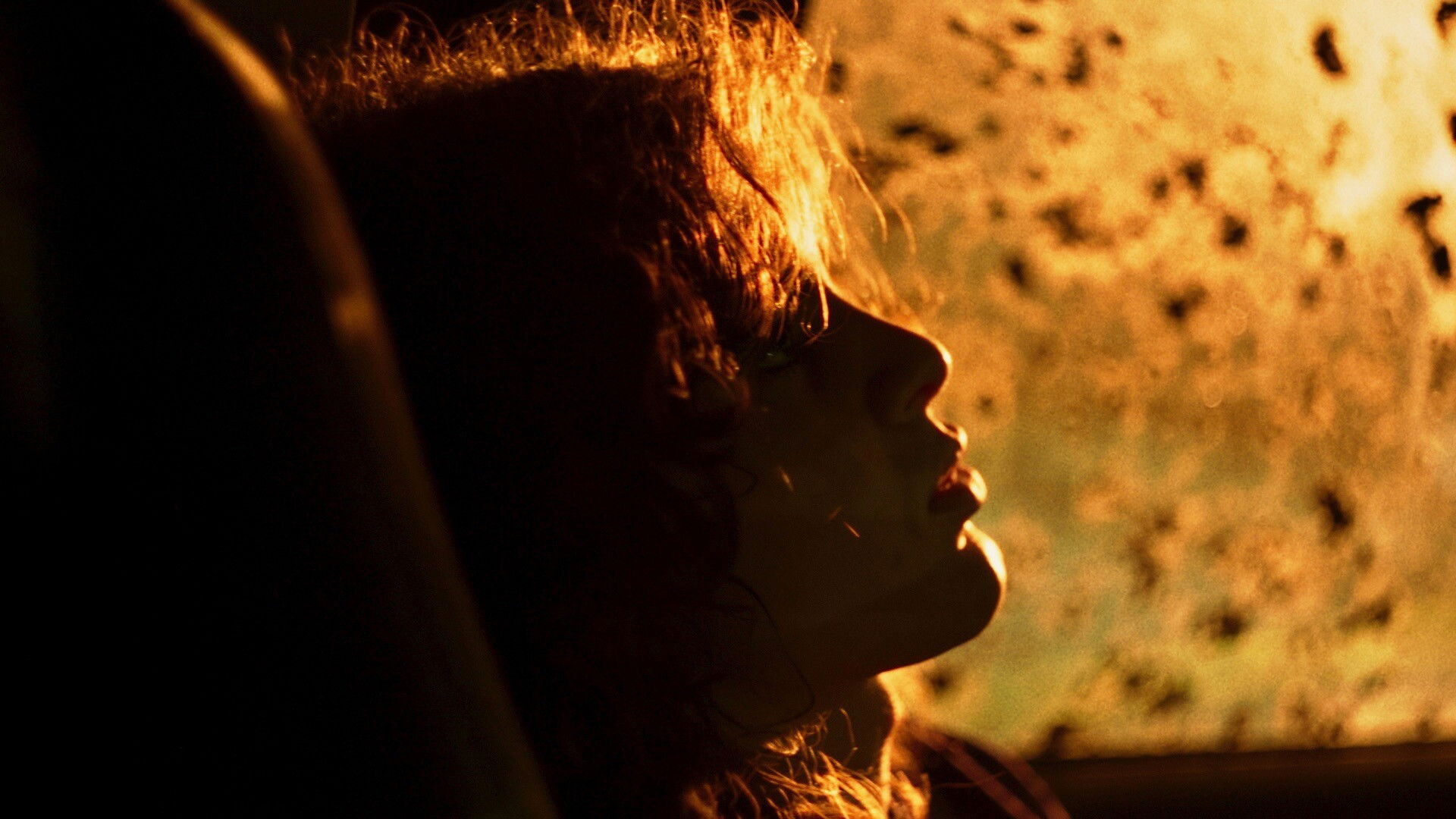 Backdrop for Thanks to the Hard Work of the Elephants