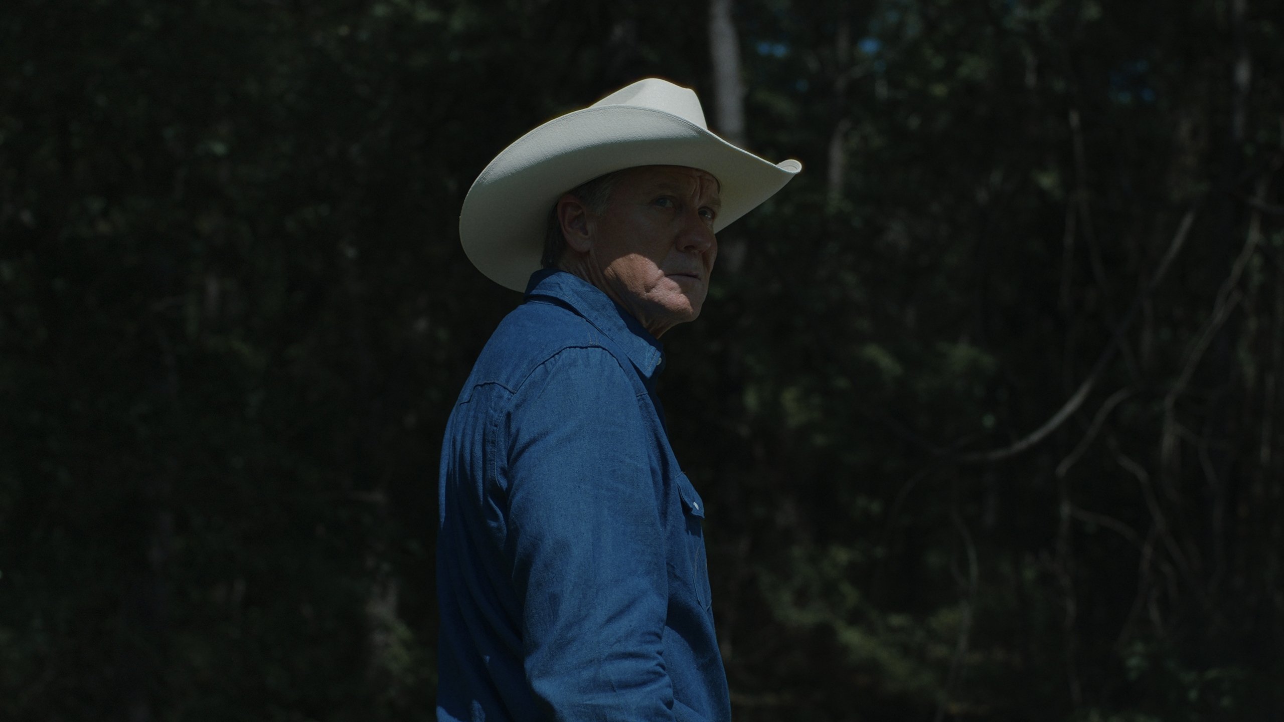 Backdrop for Pasture Prime