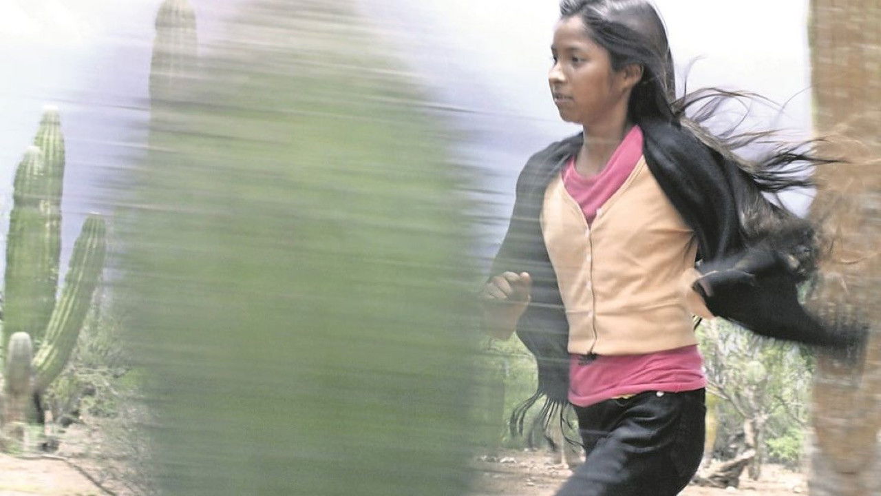 Backdrop for Seven Ridges