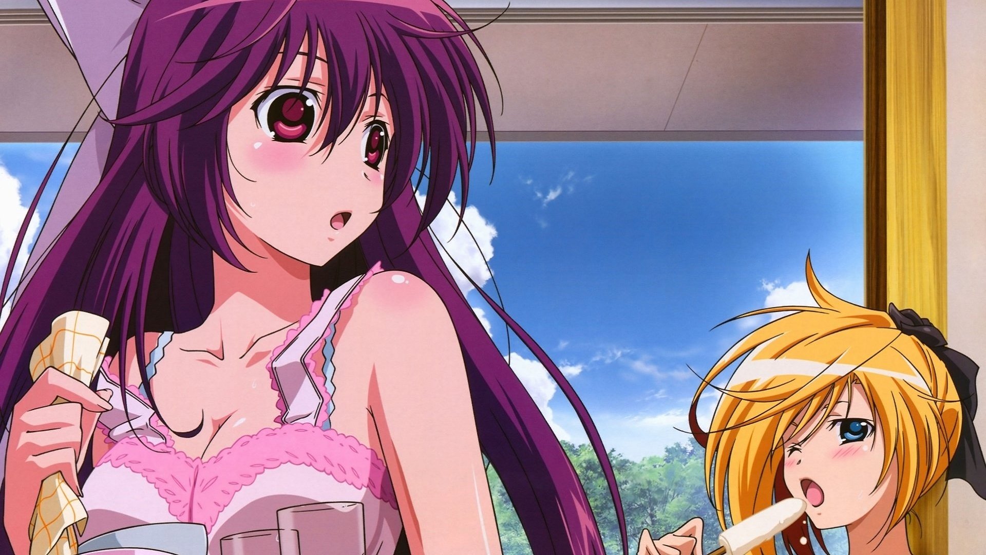 Backdrop for Samurai Harem