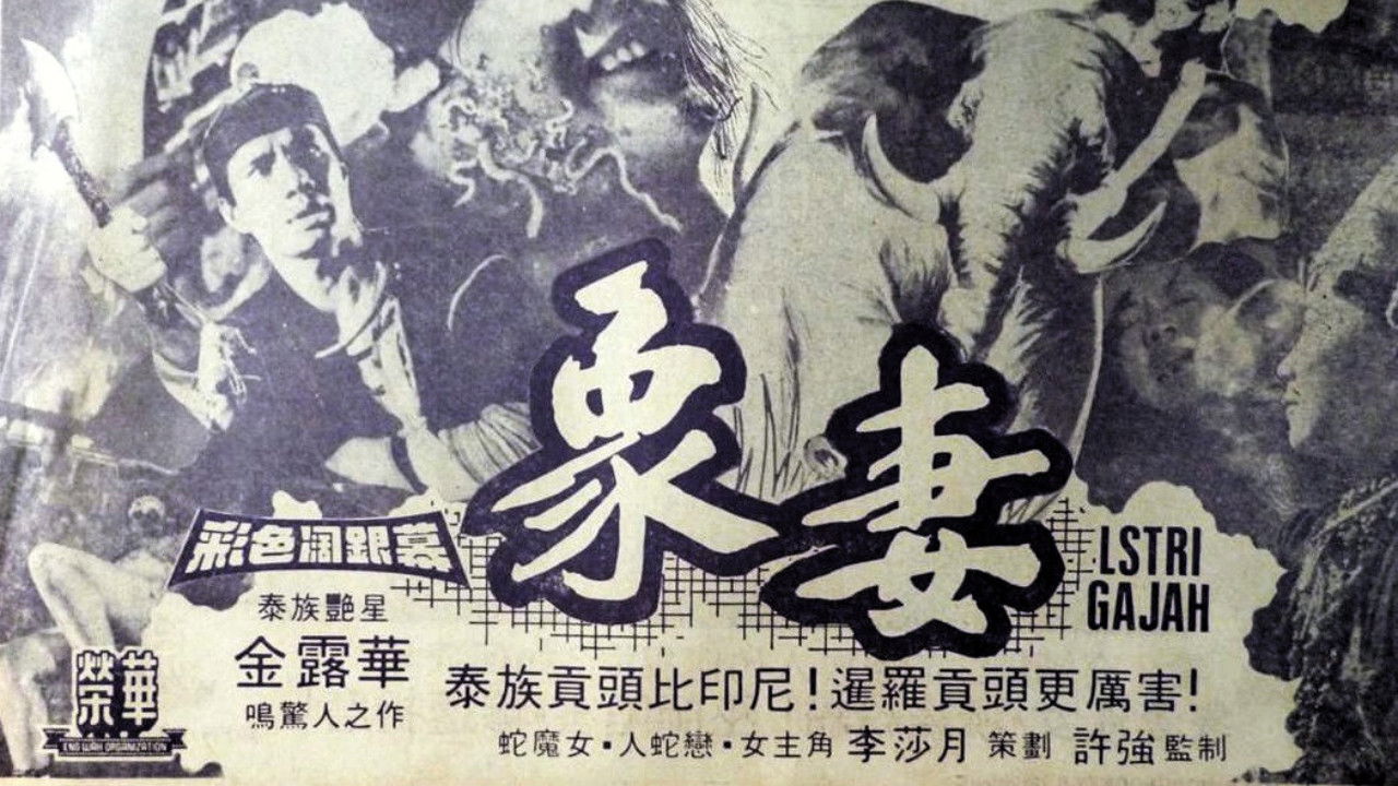 Backdrop for Elephant Wife