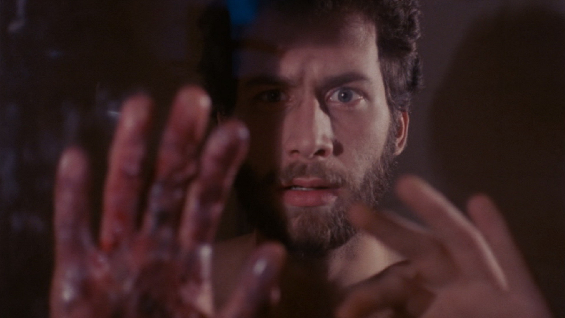 Backdrop for Revenge of the Living Dead Girls