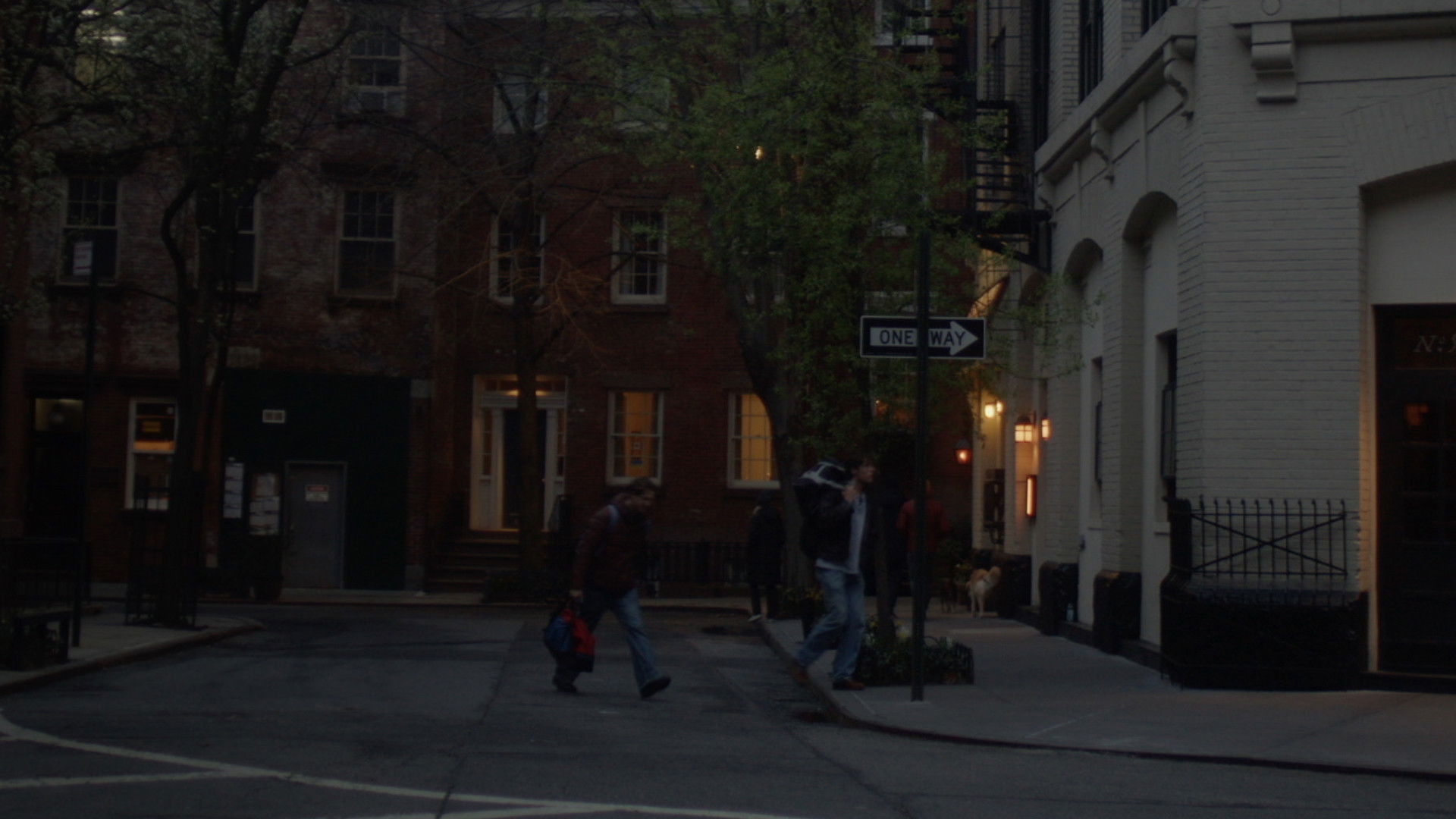 Backdrop for Fools of Nature