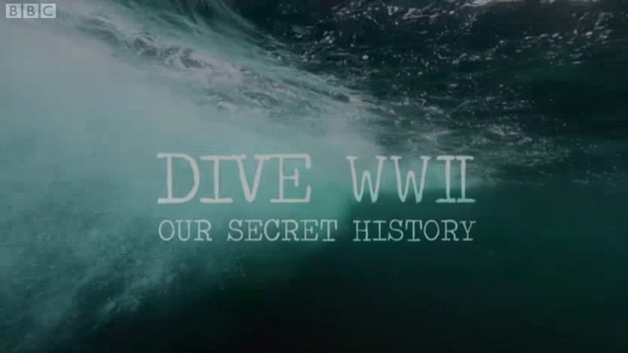 Backdrop for Dive WWII : Our secret history