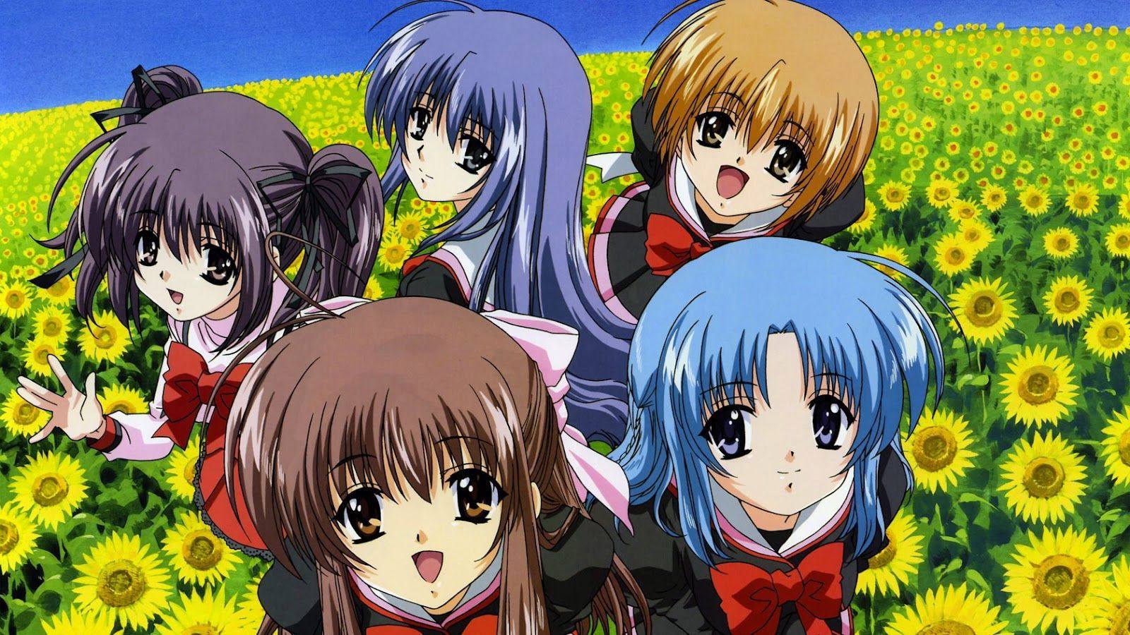 Backdrop for Final Approach