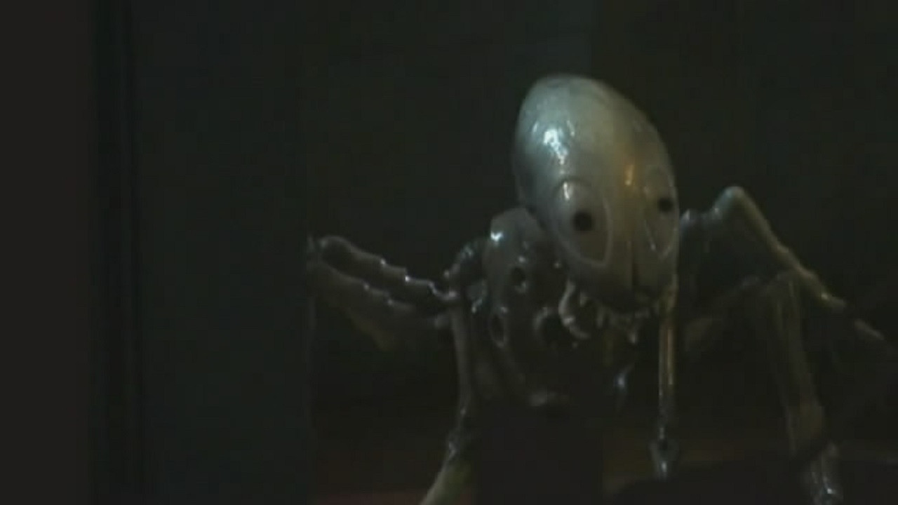 Backdrop for Blood Predator