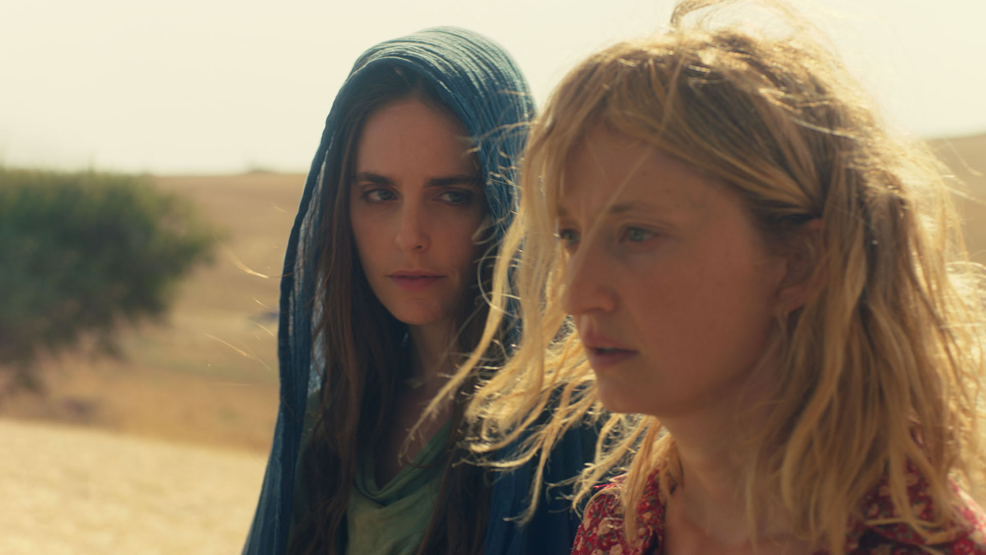 Backdrop for Lucia's Grace