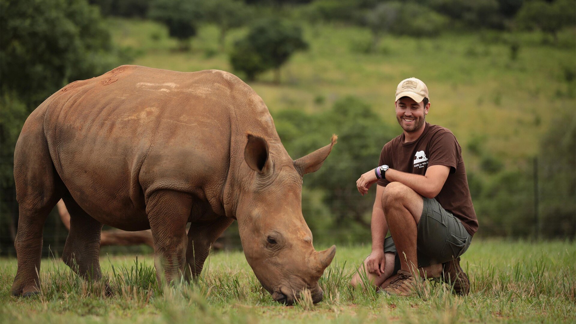 Backdrop for Work on the Wild Side