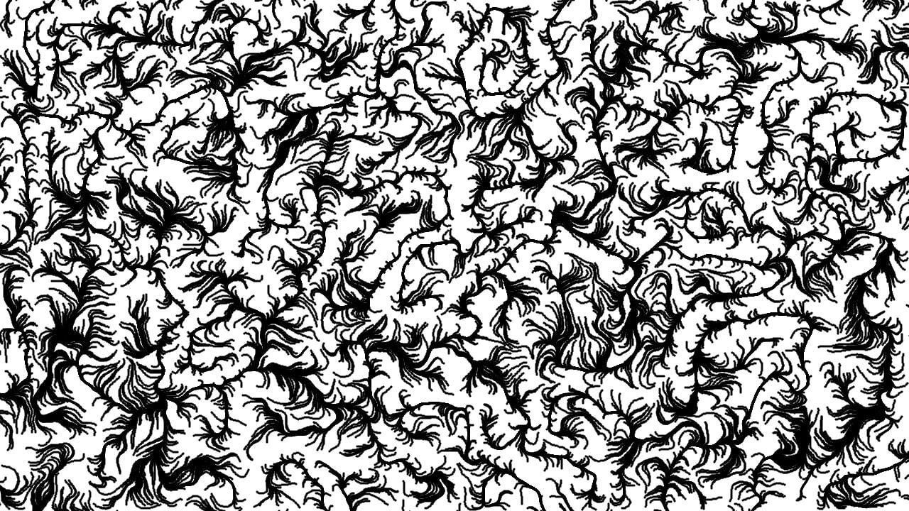 Backdrop for Verrückt