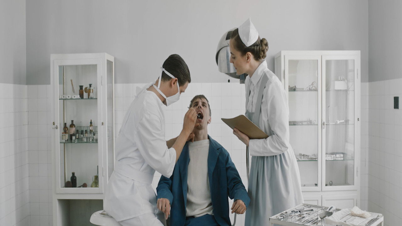 Backdrop for The Sugar Experiment