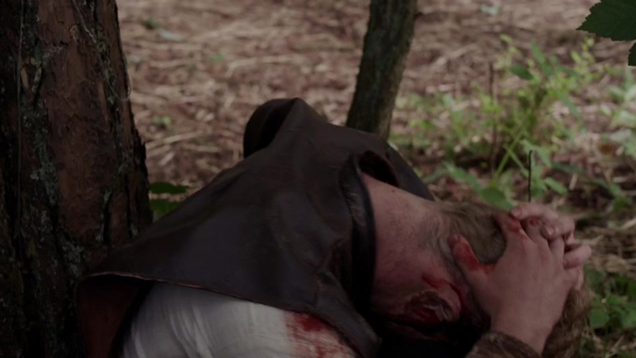 Backdrop for The Lost Viking