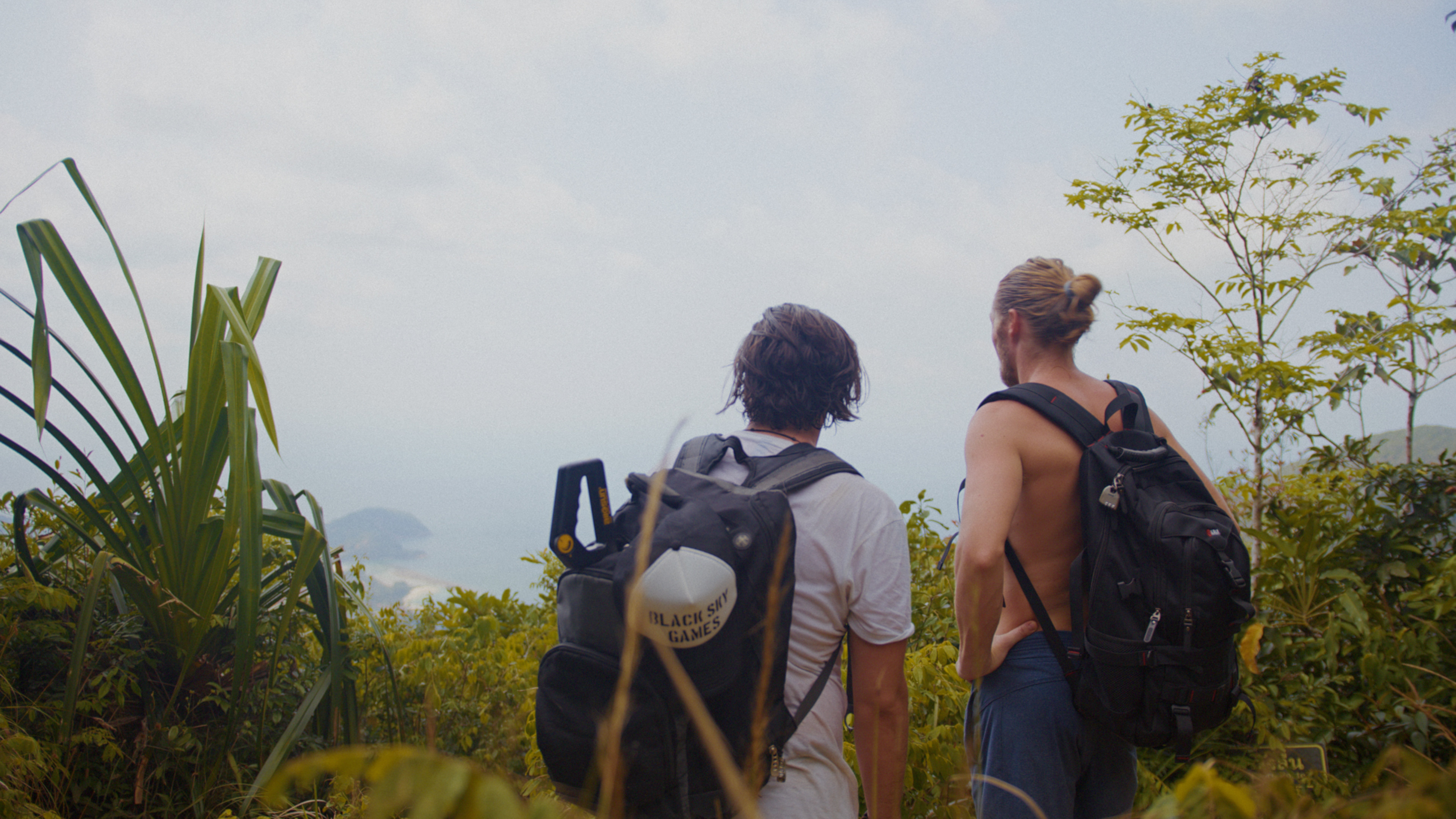 Backdrop for Coconut Valley