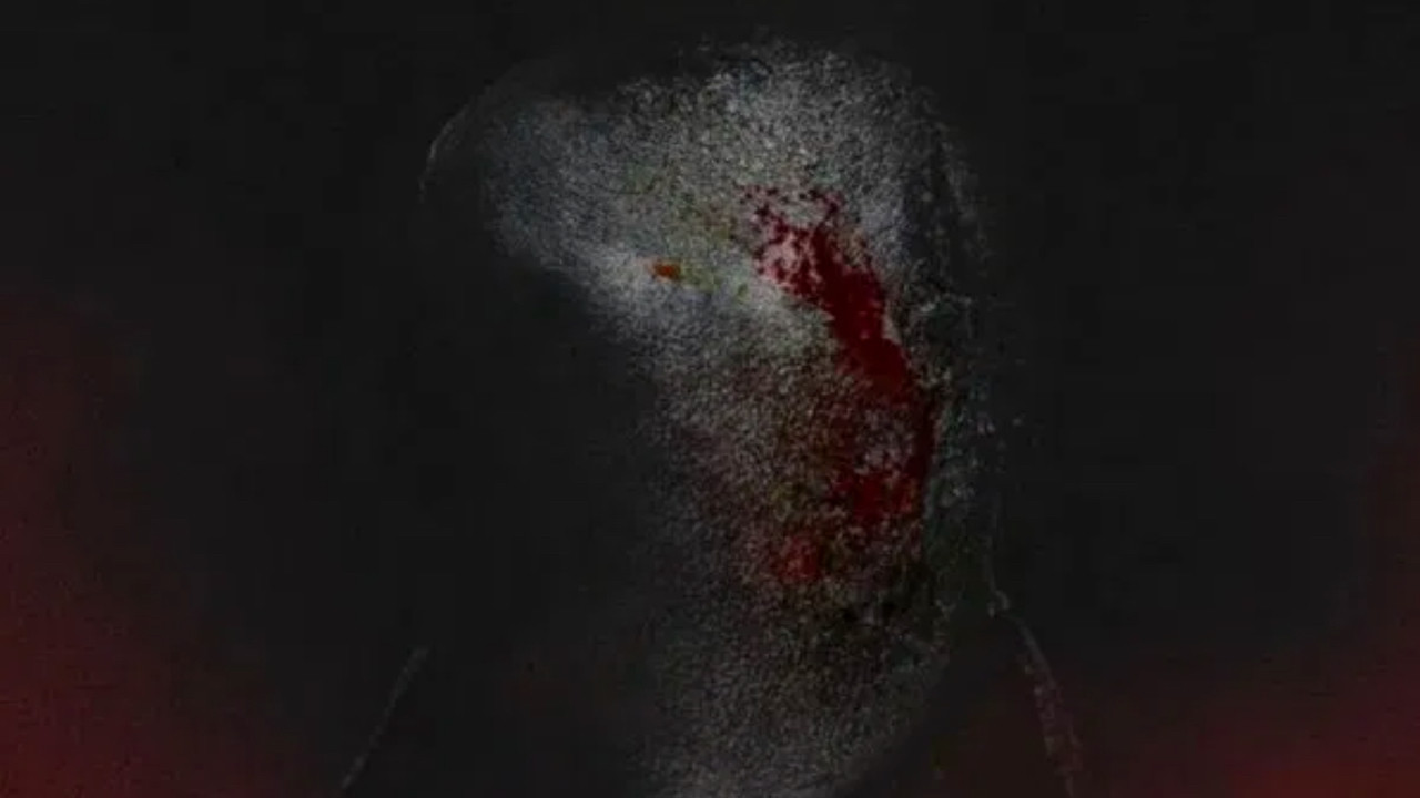 Backdrop for Secret of Slenderman: New Nightmare