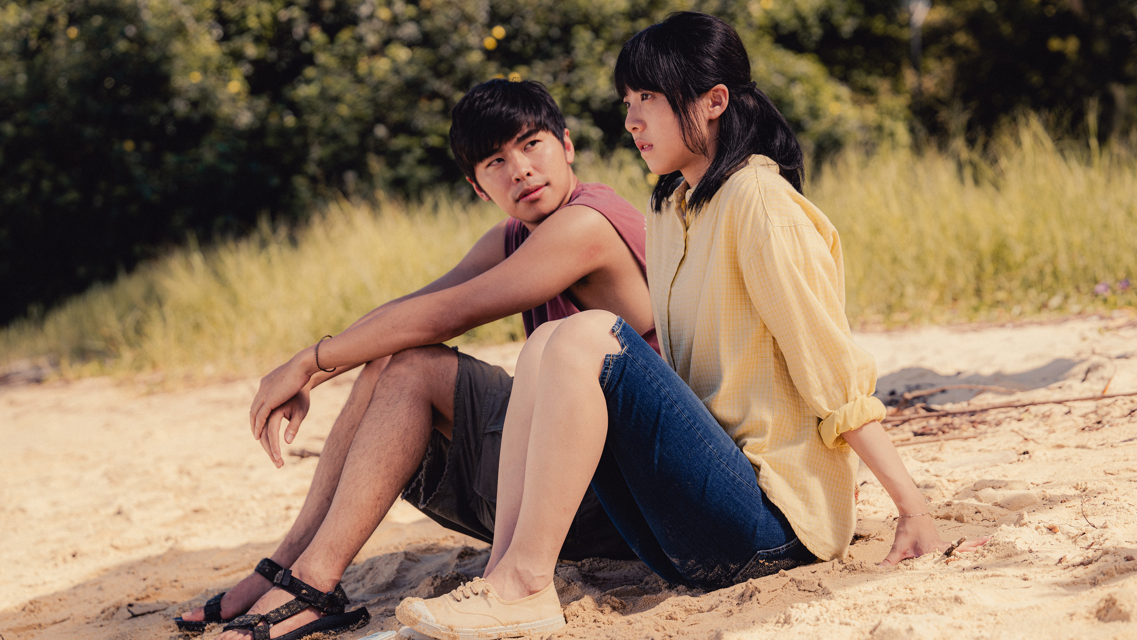 Backdrop for The Way We Talk