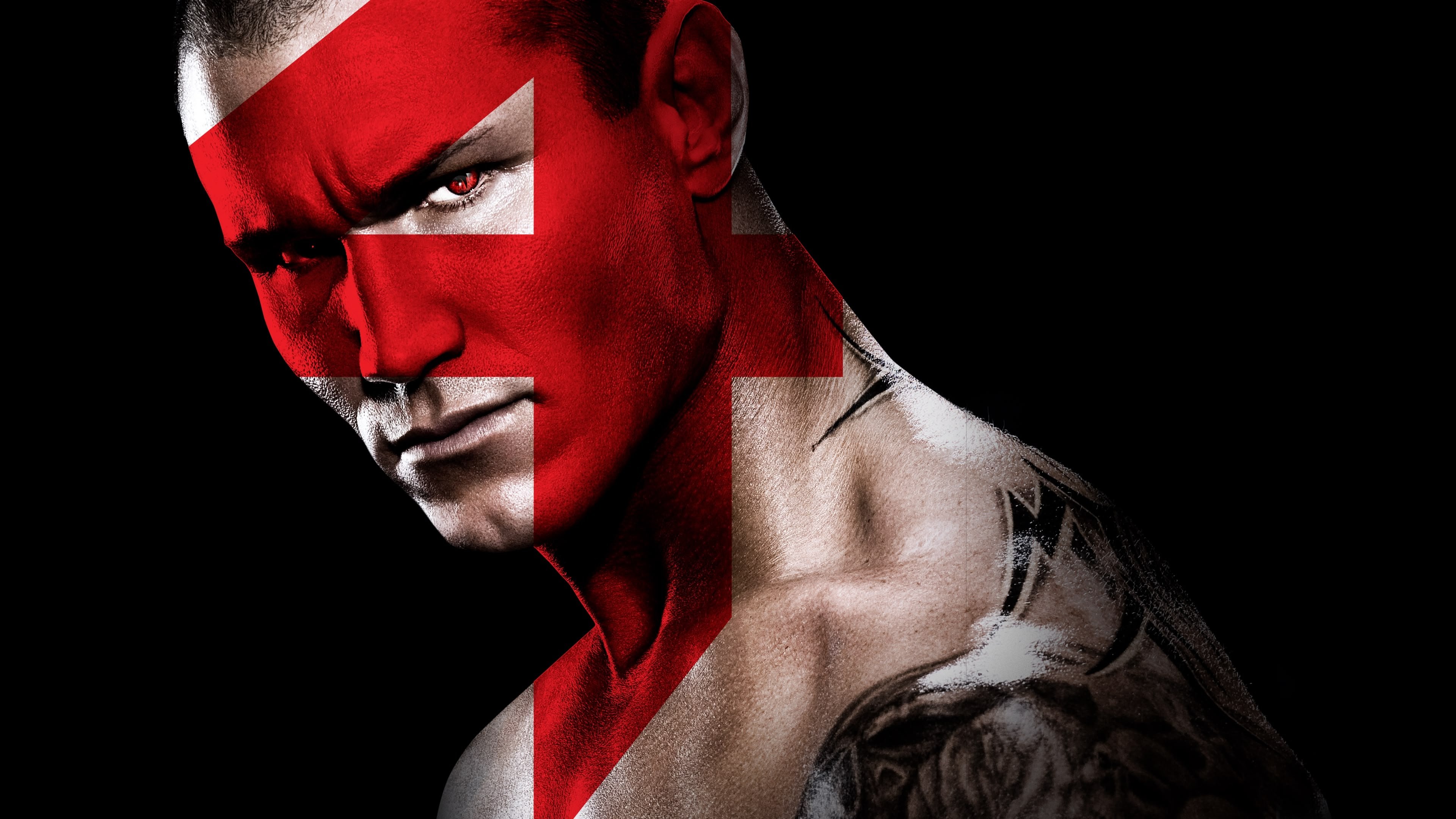 Backdrop for WWE Fatal 4-Way 2010