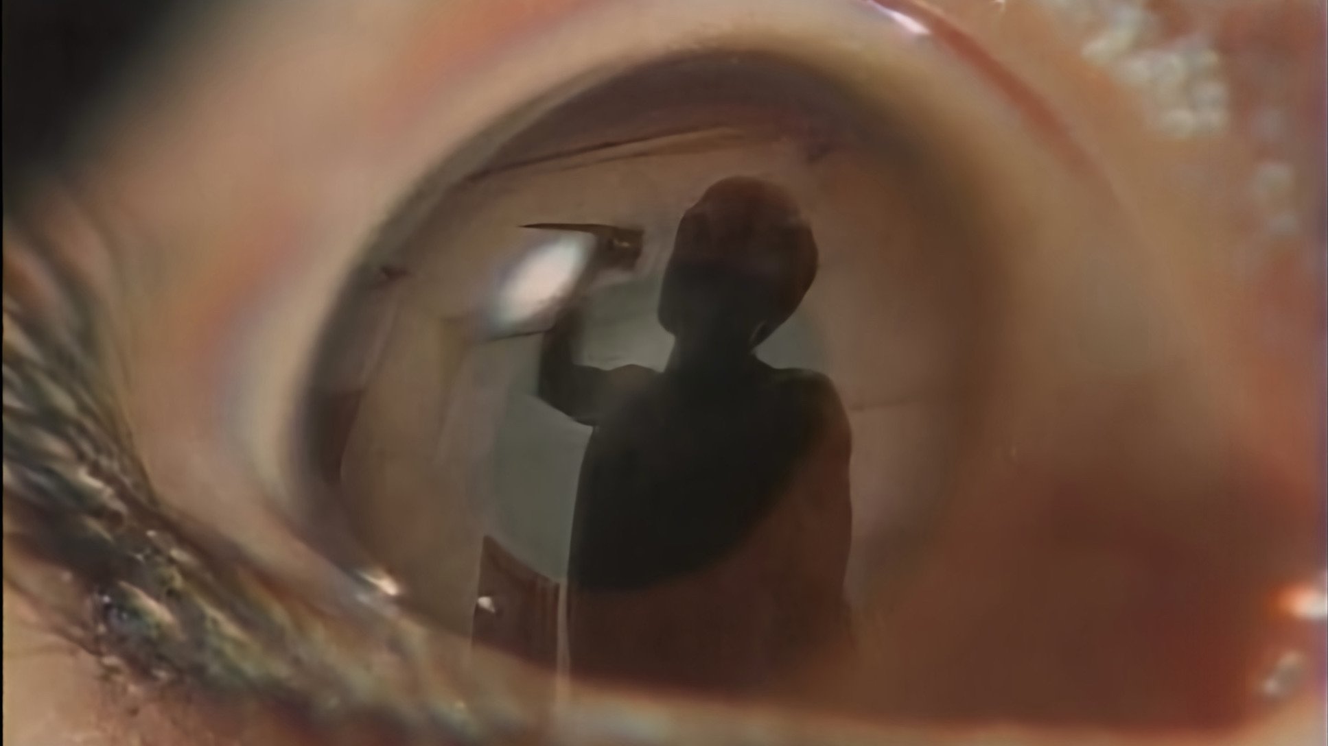 Backdrop for Lustful Revenge