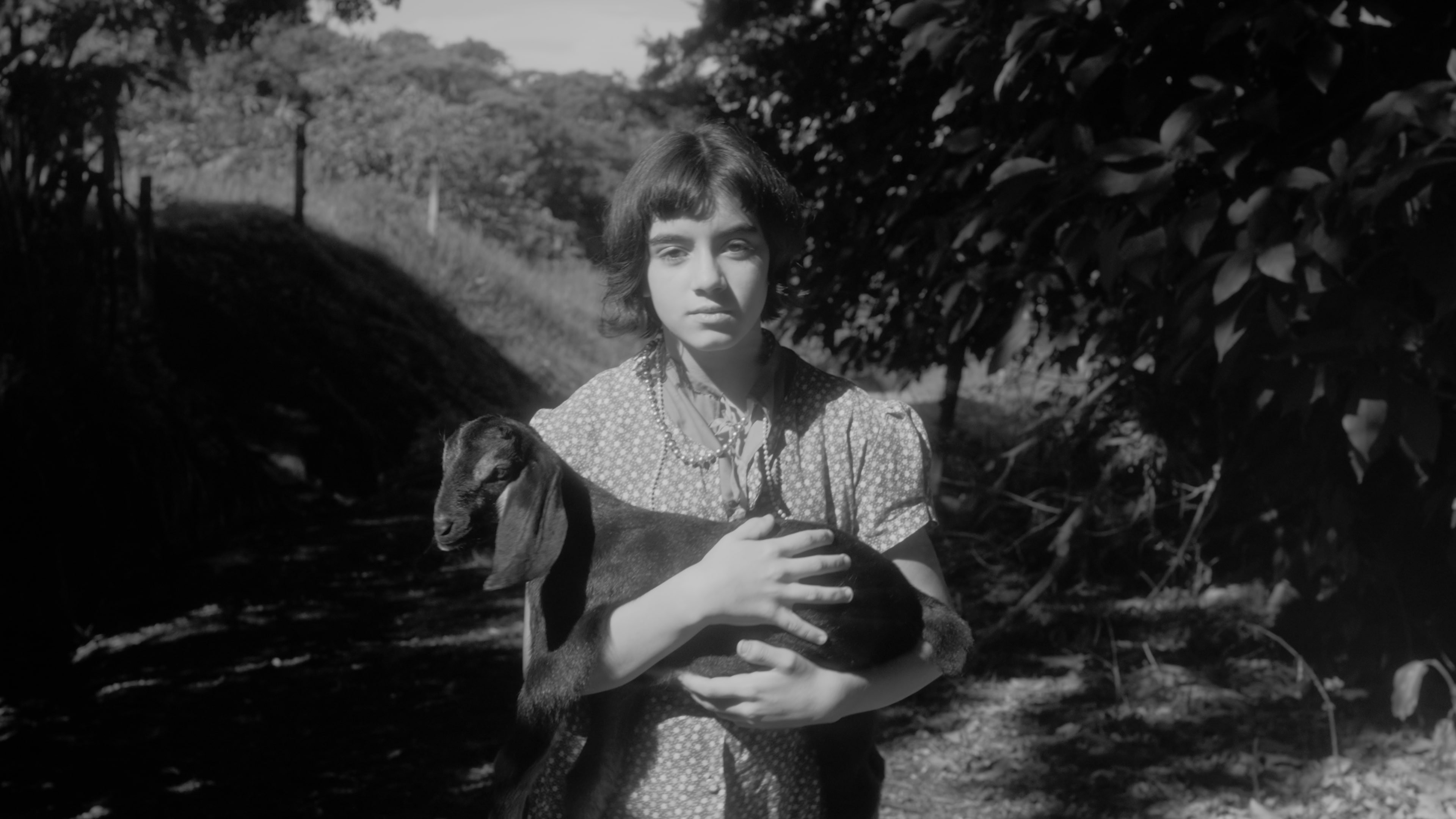 Backdrop for Goat and Mother