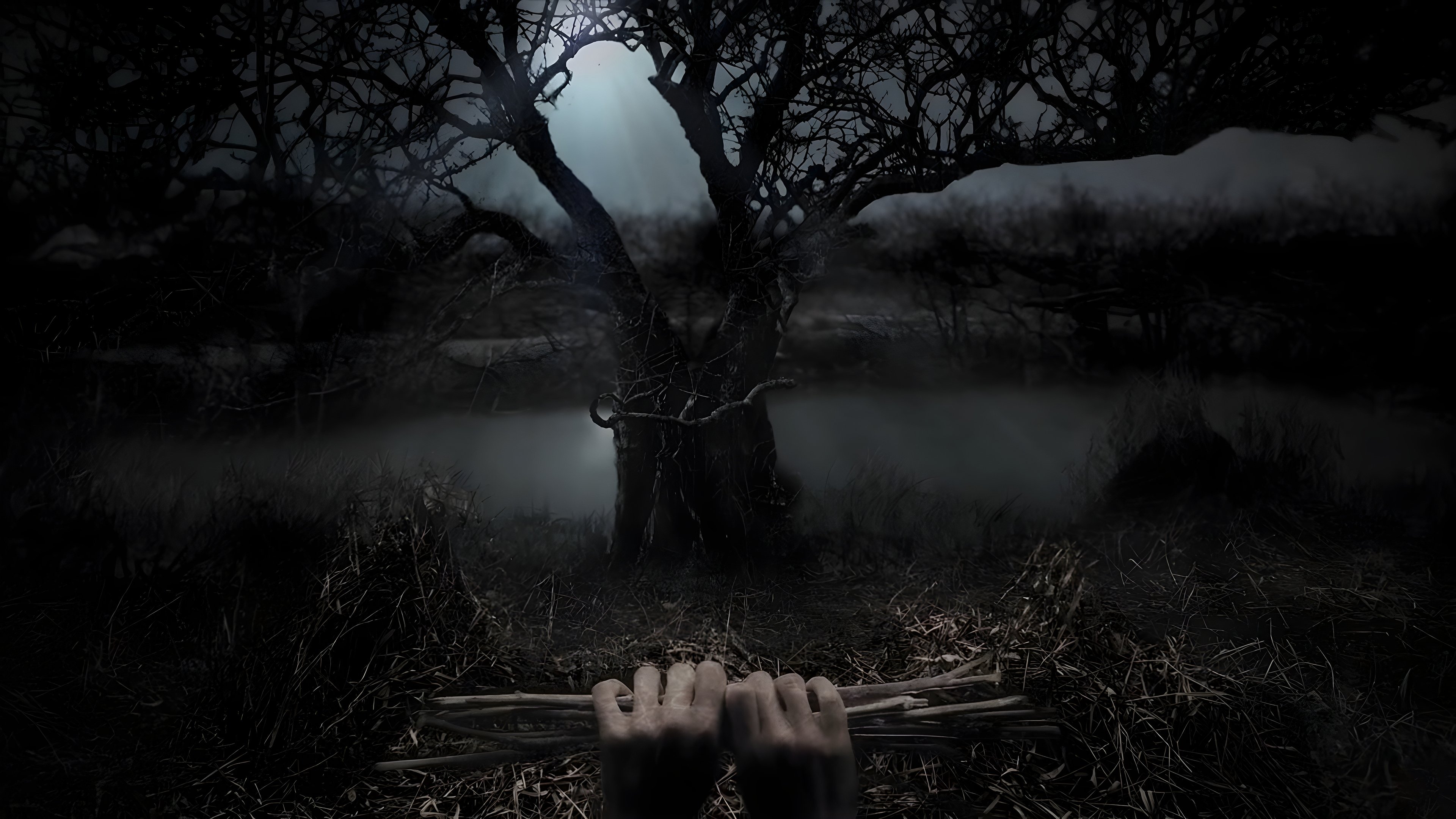 Backdrop for Stephen King's Kingdom Hospital