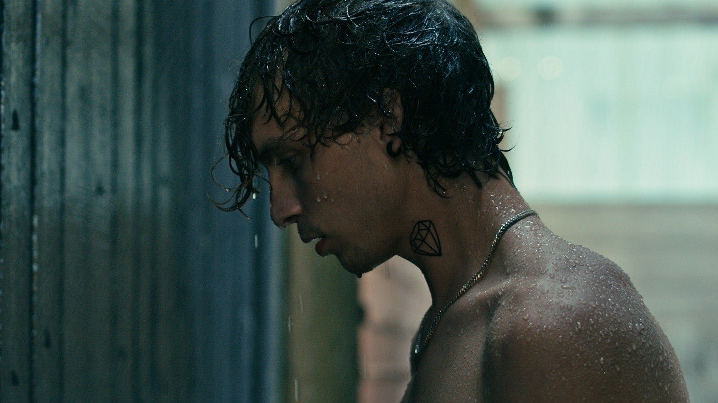 Backdrop for Searching for the Elephant