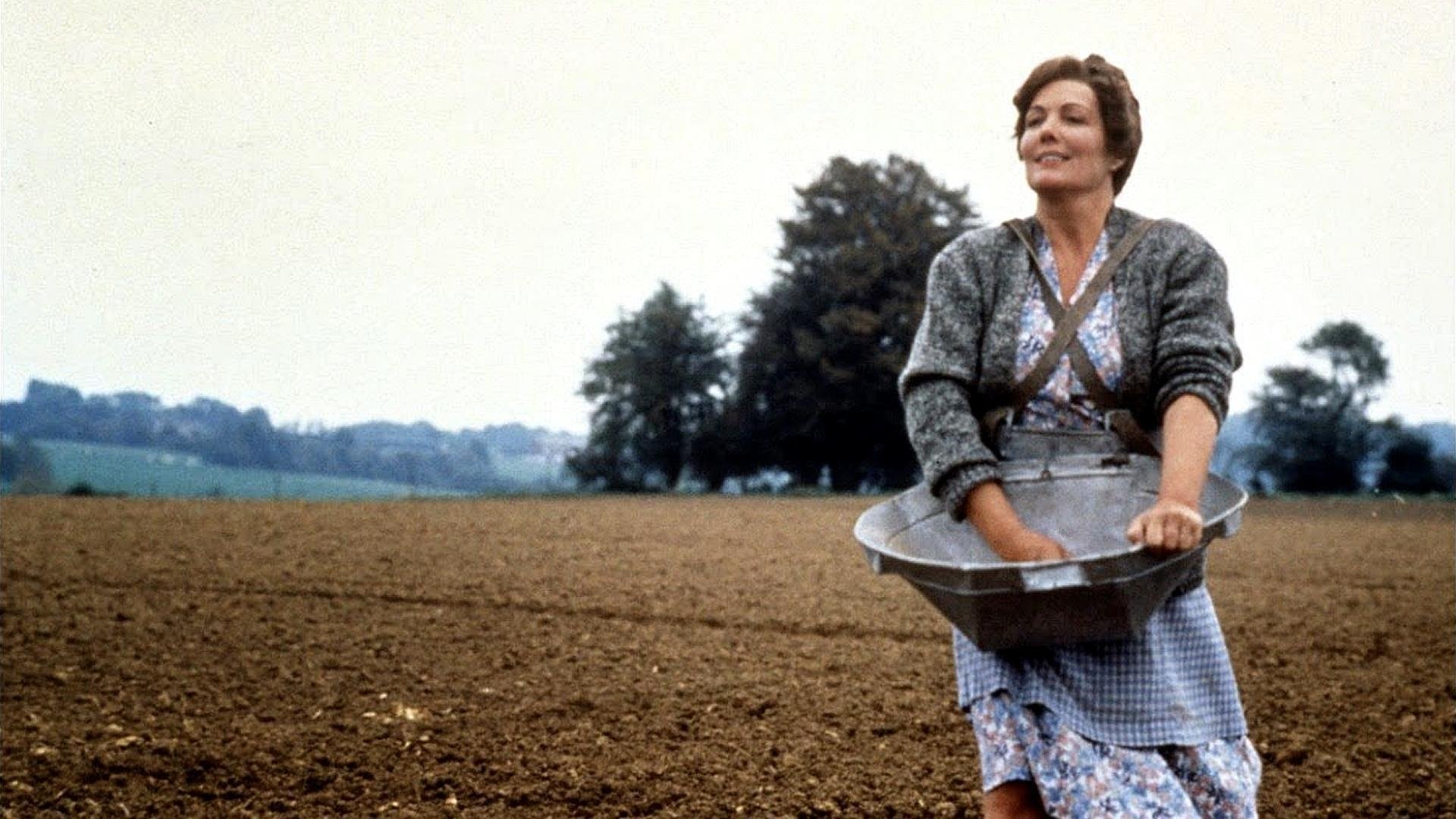 Backdrop for Antonia's Line