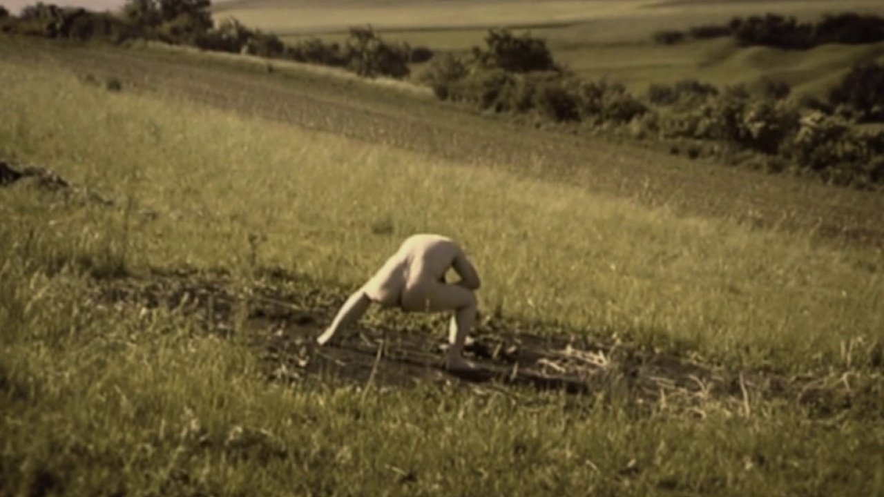 Backdrop for Debris Documentar