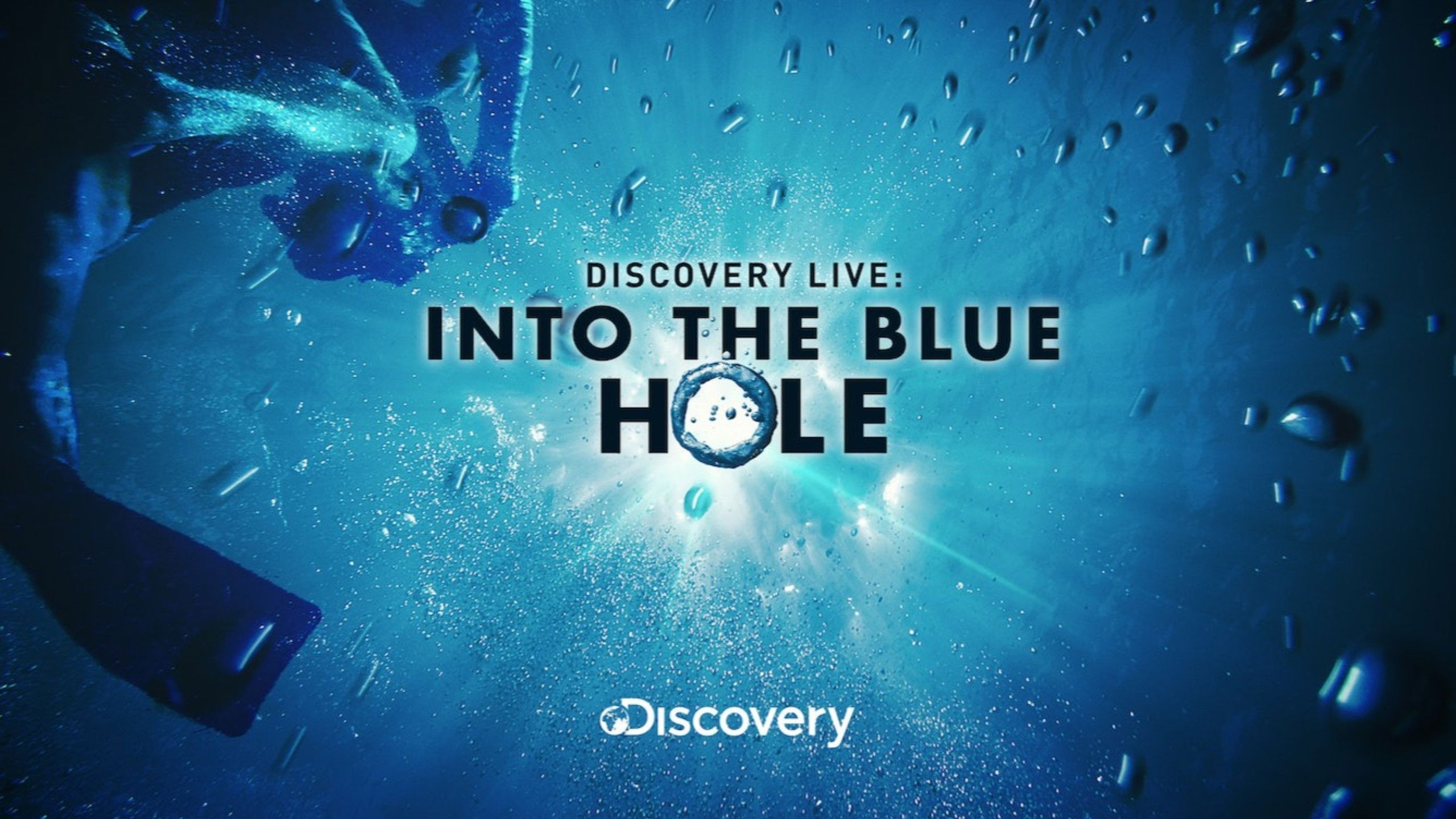 Backdrop for Discovery Live: Into The Blue Hole